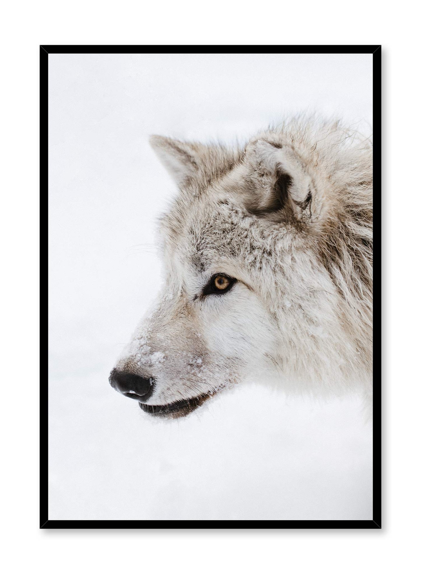 White Fang, Poster