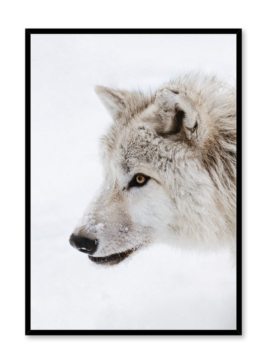 White Fang, Poster