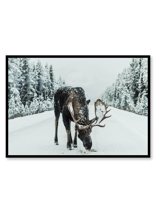 Moose Stop, Poster