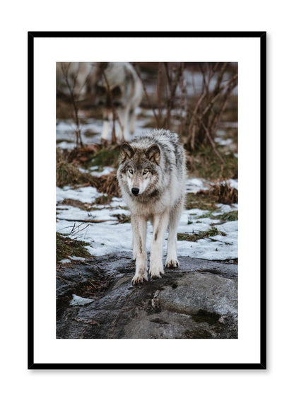 Wolf Pack, Poster