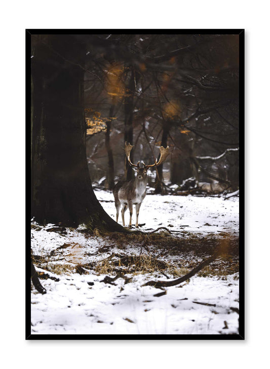 Forest Royalty, Poster