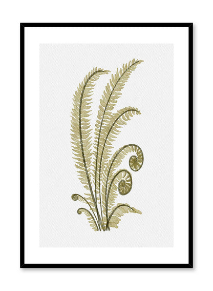 Curly Fern, Poster