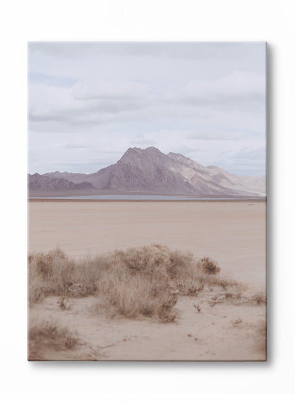 Nevada Silence, Poster