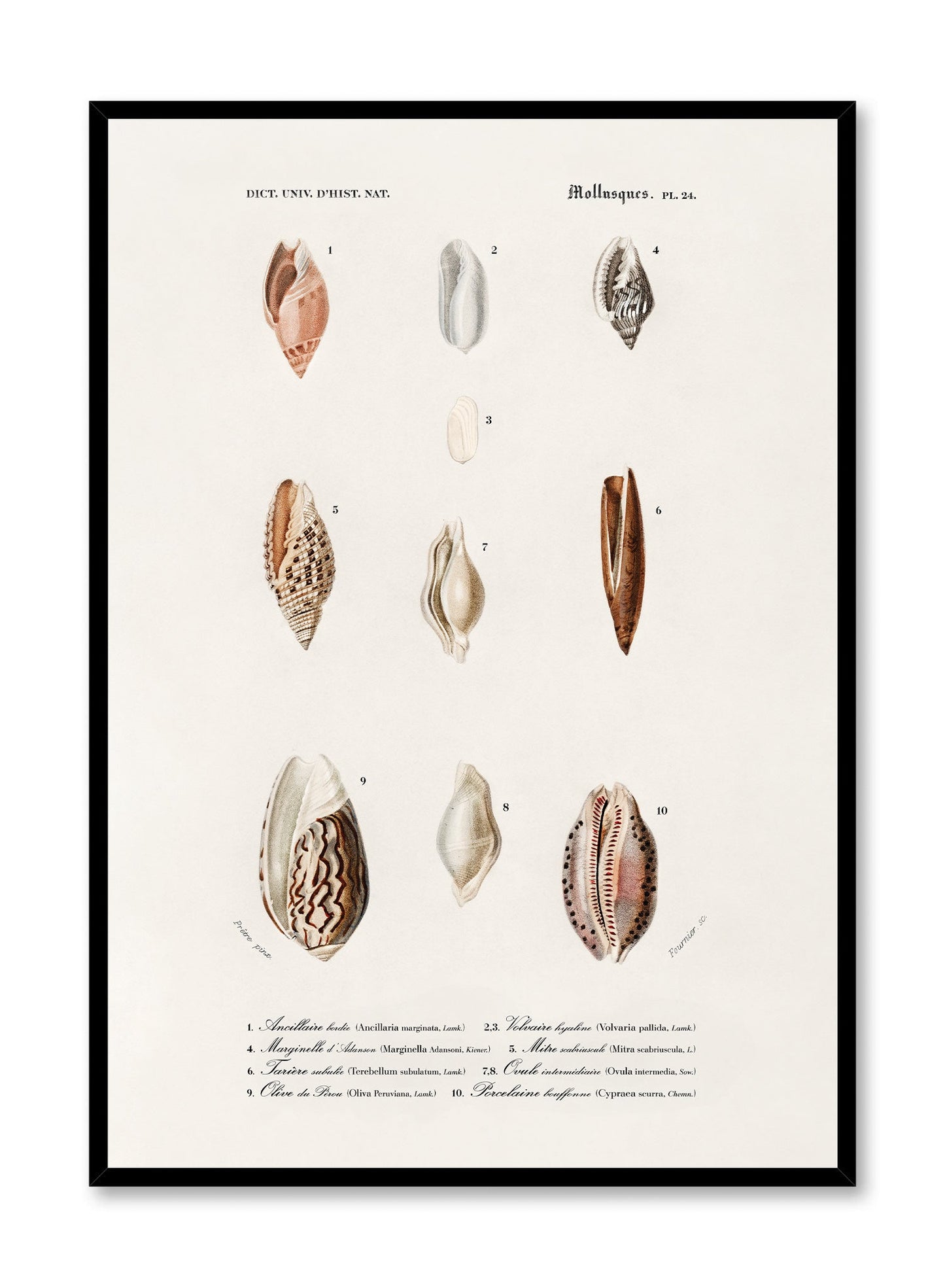 Nautical Jewels, Poster