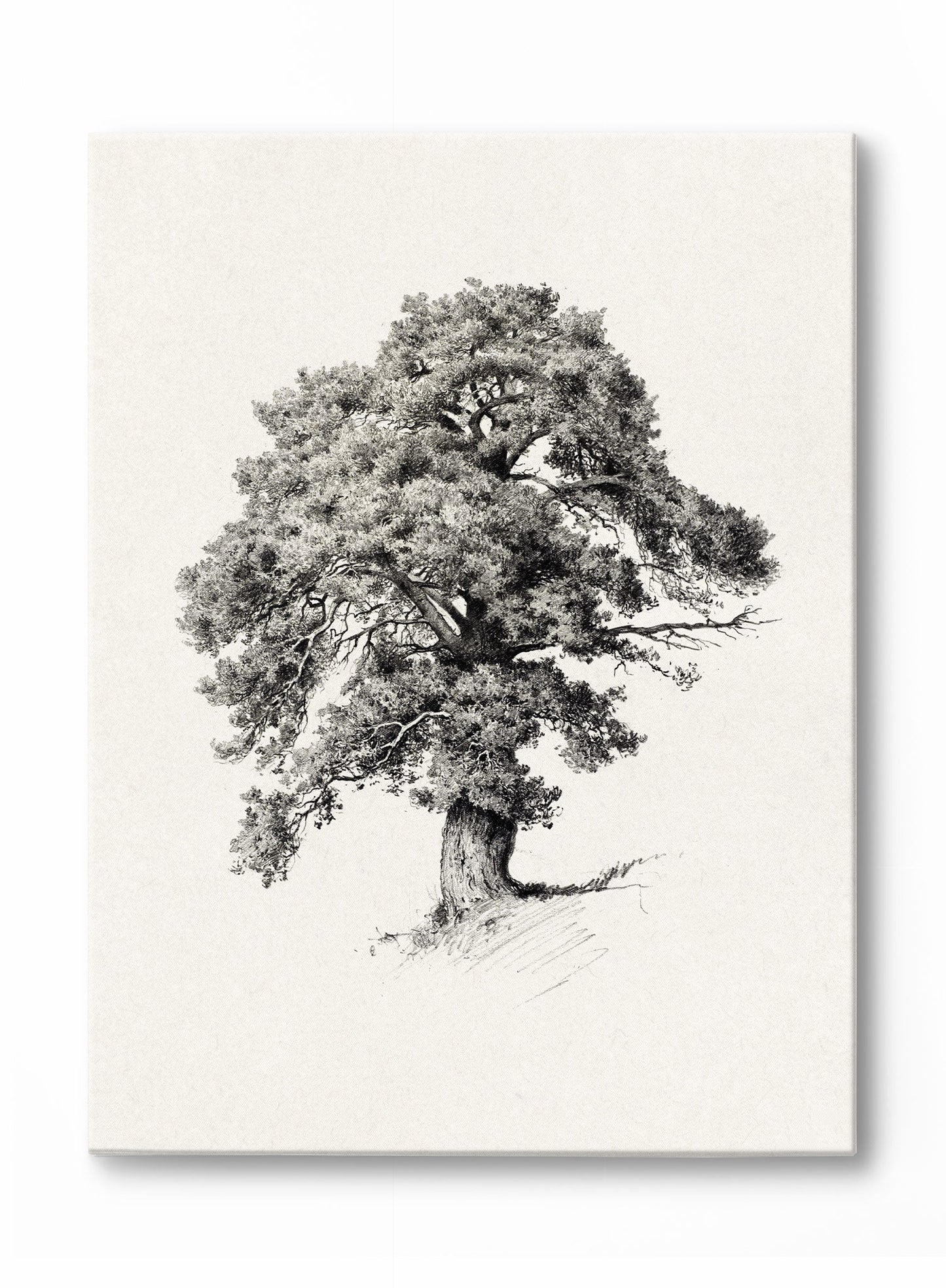 Mighty Tree, Poster