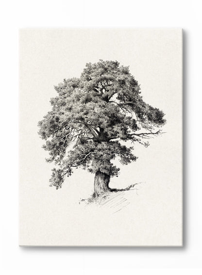 Mighty Tree, Poster