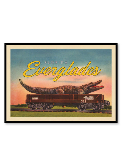 Later Alligator, Everglades, Poster