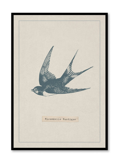 Swooping Swallow, Poster
